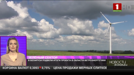В Беларуси подвели итоги проекта в области ветроэнергетики