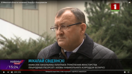 В Минской области начинают борьбу с борщевиком