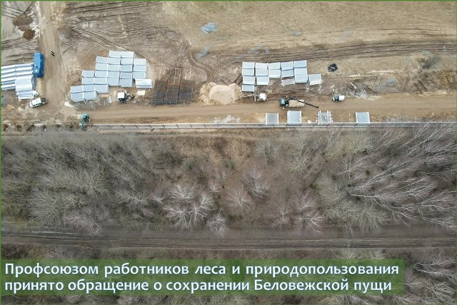Строительство искусственного заграждения из бетона, железа и колючей проволоки «концертина» вдоль белорусско-польской границы