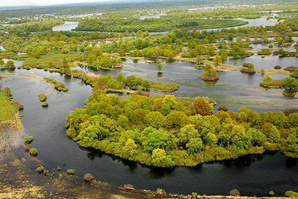 Национальный парк "Припятский"