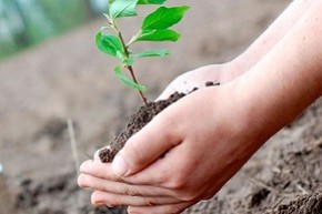 Экологическая кампания «Обустроим малую родину!» в 2020 году посвящена 75-летию Великой Победы