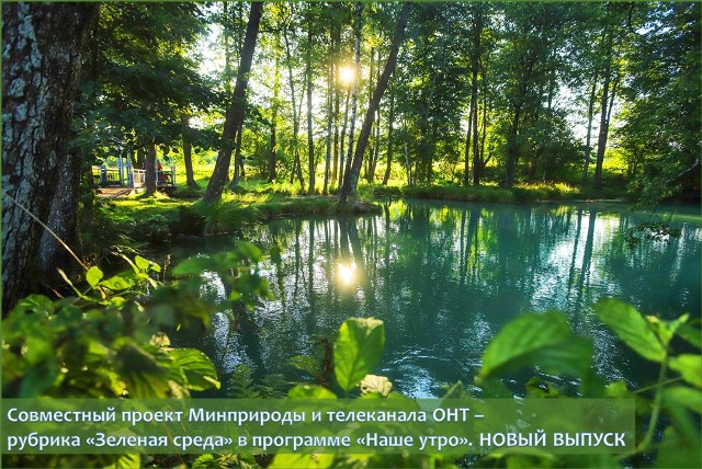 На фото: родник «Голубая криница» в Славгородском районе Могилевской области