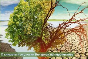О климате и экологии Беларуси на перспективу