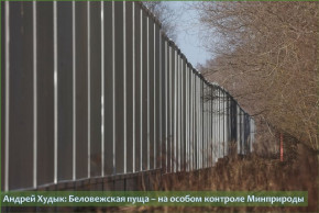 Строительство искусственного заграждения из бетона, железа и колючей проволоки «концертина» вдоль белорусско-польской границы