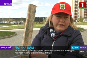 В Витебске посадили более сотни деревьев во время экологической кампании "Обустроим малую родину"