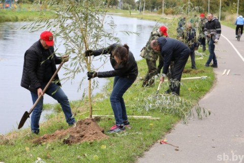 Более тысячи деревьев посадили в День народного единства в Витебской области