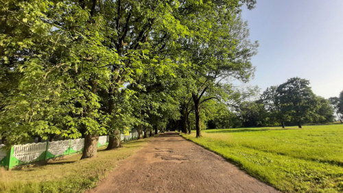 Malye Sehnovichi park
