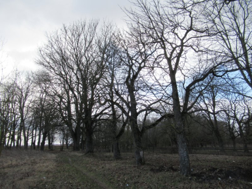 Парк «Тимковичи»