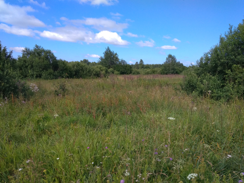 Заказник «Братство»