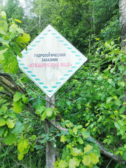 Заказник «Кукшинский мох»