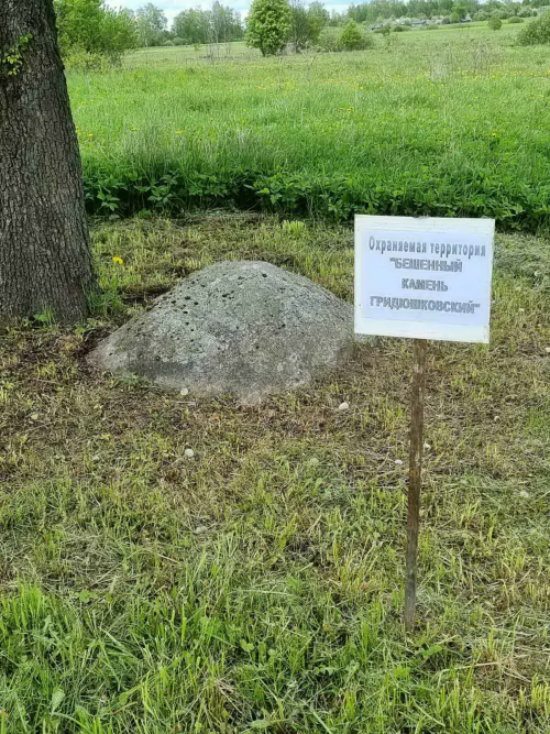 Большой камень Гридюшковский