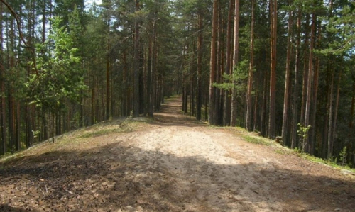 Reserve Kopcevskaya Esker Ridge