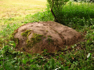 Валун «Большой камень» залесский