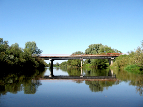 Заказник «Долина реки Остер»