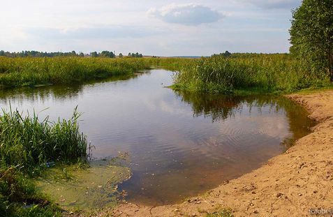 In the Ditva River Floodplain