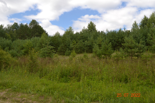 Холм «Гора Бояровщина»