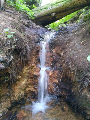 Родник «Святые криницы»