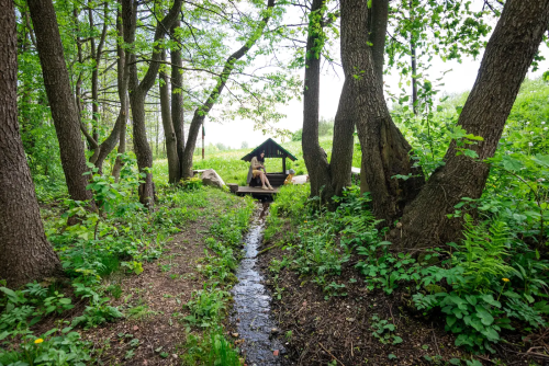 Криница Богдановича