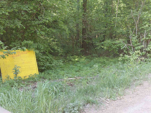 Гора «Ходчиха»