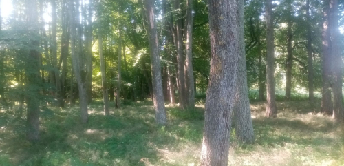 Парк «Остюковичи»