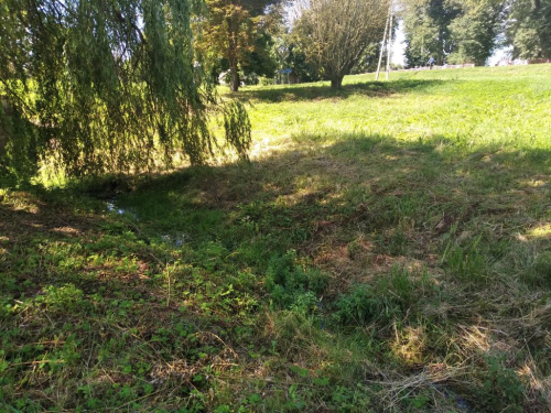 Родник «Истоки Лани»