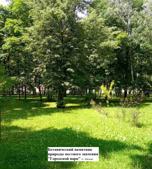 Городской парк