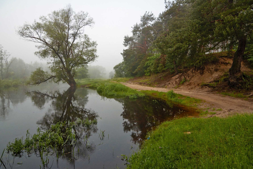 Заказник «Пойма реки Лесная»