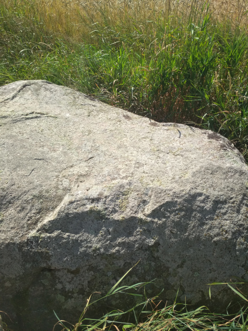 Bolshoj Kamen Zhukilozhnovsky boulder