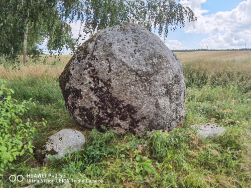 Валун «Большой камень» дворецкий