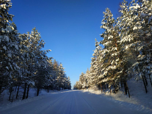 Sinsha Nature Reserve