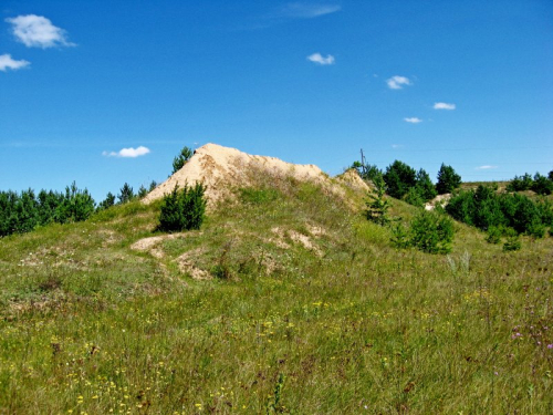 Korolinsky moraine outcrop