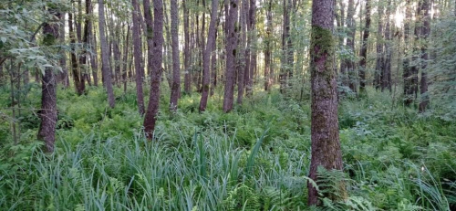 Парк Победы в г. Мяделе