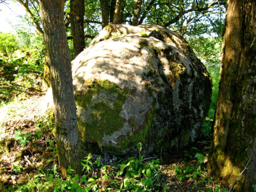 Lapejkinsky Bolshoj Kamen boulder