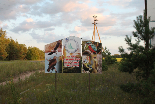 Dnepro-Sozhsky Nature Reserve