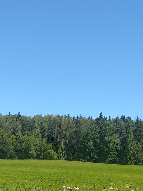 Гряда «Свайгинская»