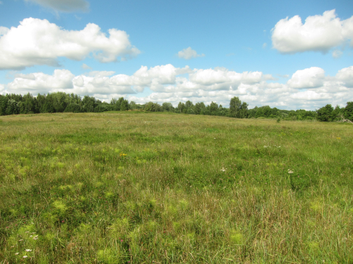 Reserve Cherstvjatsky