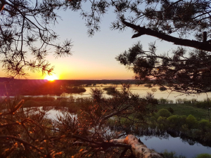 Заказник «Черневский»