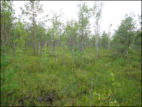 Reserve Glybochansky