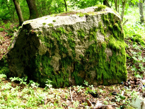 Zaharishsky boulder