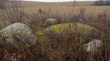 Валун «Стародворский»