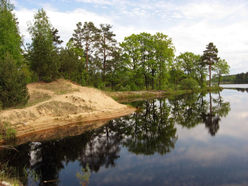 Заказник «Ваньковщина»