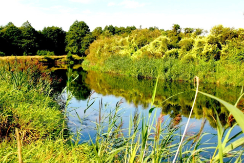 Заказник «Озерище»