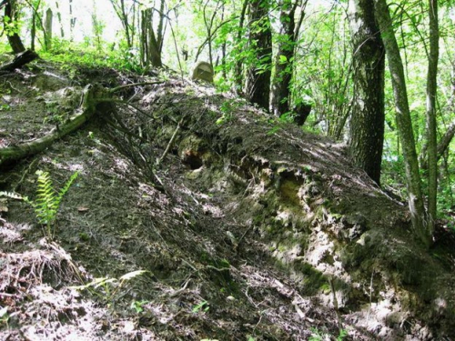 Prinemanskoe-1 outcrop