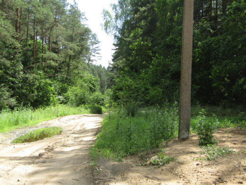 Гудинишкинская гряда