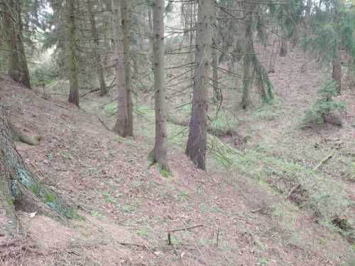 Заказник «Горно-Рутковские яры»