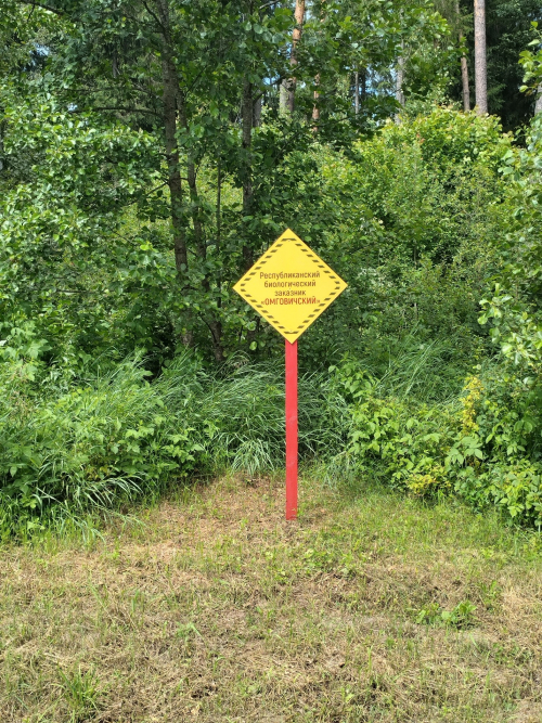 Заказник «Омговичский»