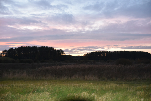 Reserve Sergeevichskie Hills