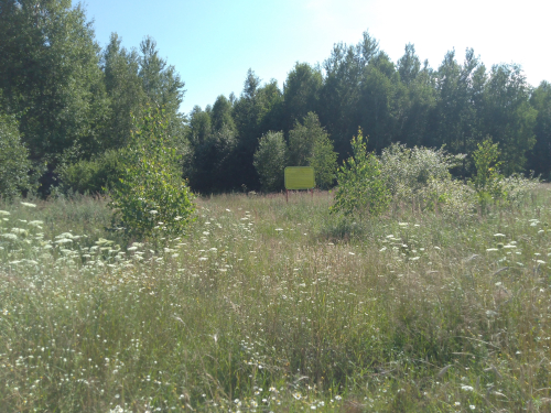 Заказник «Белые речки»