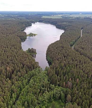 Vechelje nature reserve