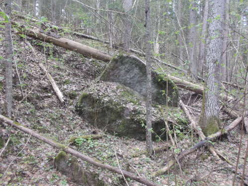 Валун «Ольшевский»